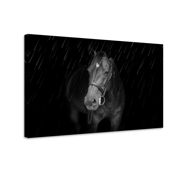 Paarden schilderij op canvas majestueus zwart paard - TenStickers