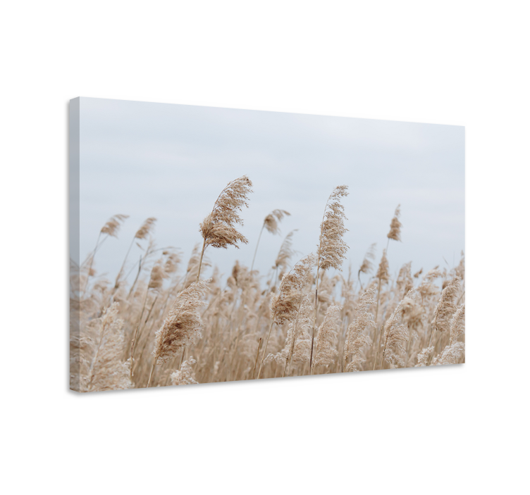 Canvas schilderij bloemen en planten zachte grasbries - TenStickers