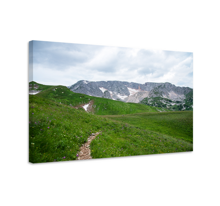 Canvas landschap rustig bergpad - TenStickers