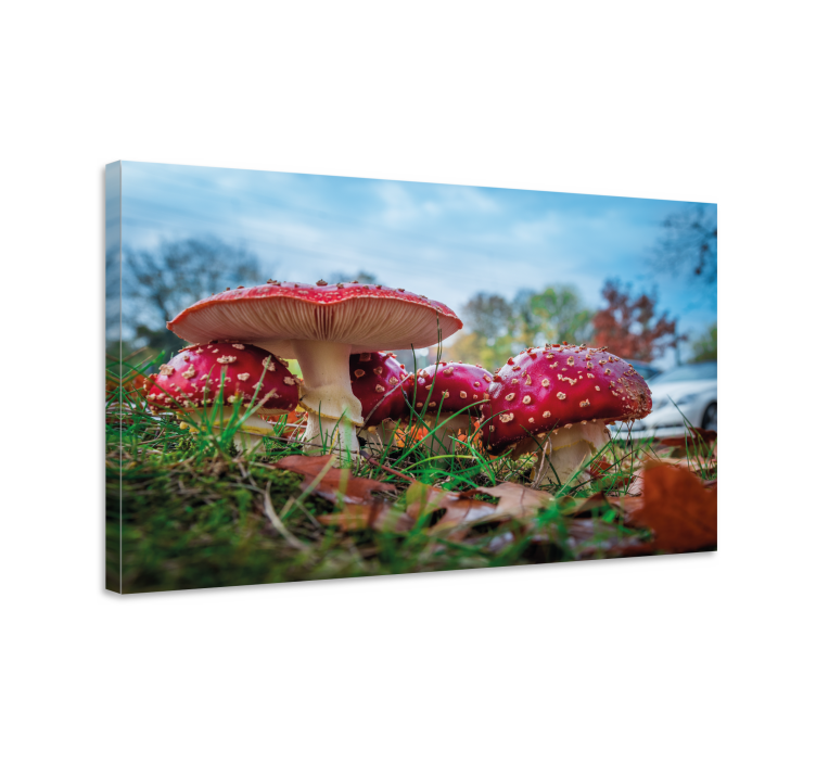 Canvas schilderij bloemen en planten rode paddestoel cluster - TenStickers