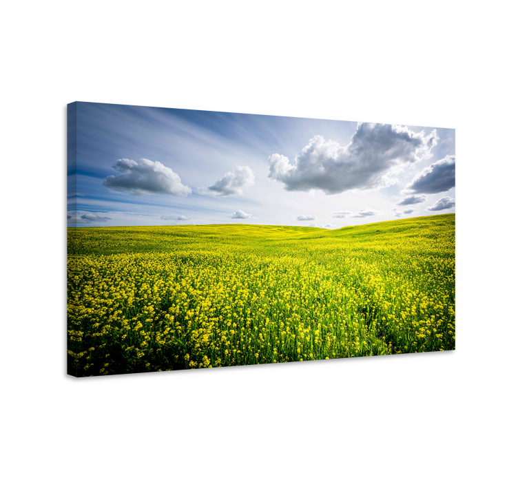 Canvas landschap levendig geel veld - TenStickers
