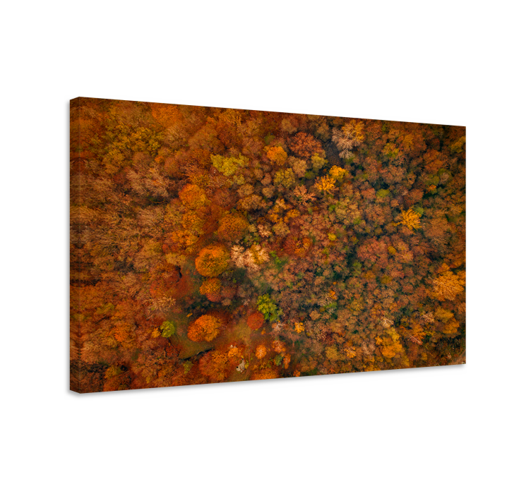 Canvas bomen herfstbosbladeren - TenStickers