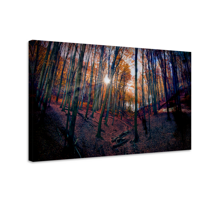 Canvas landschap herfstbos gloed - TenStickers