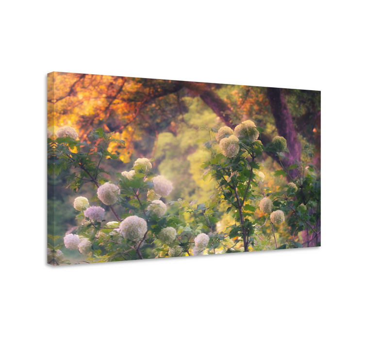 Canvas schilderij bloemen en planten bloemenweide - TenStickers