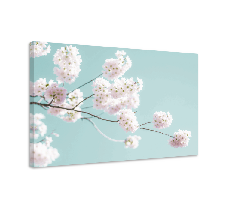 Canvas schilderij bloemen en planten sakura bloemtak - TenStickers