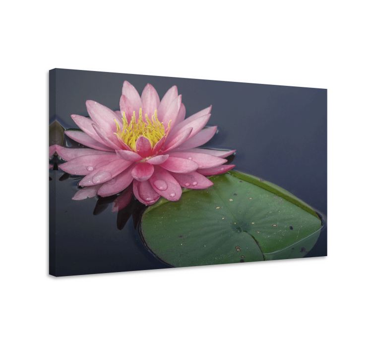Canvas schilderij bloemen en planten waterlelie bloem - TenStickers
