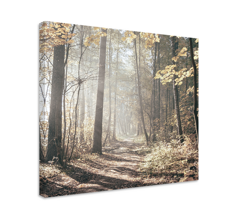 Canvas landschap mist bedekte pad - TenStickers
