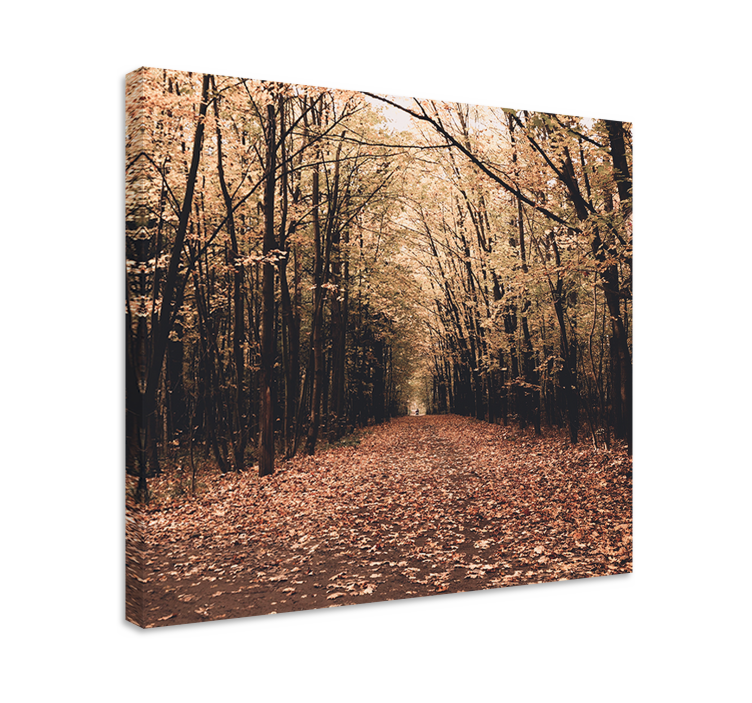 Canvas landschap herfstpad scène - TenStickers