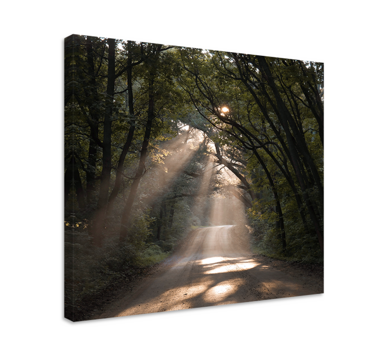 Canvas landschap zonnig bospad - TenStickers