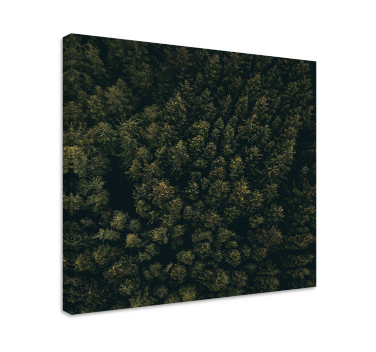Canvas bomen weelderige boskruin - TenStickers