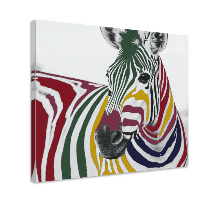 Canvas schilderij dieren kleurrijk zebra portret - TenStickers