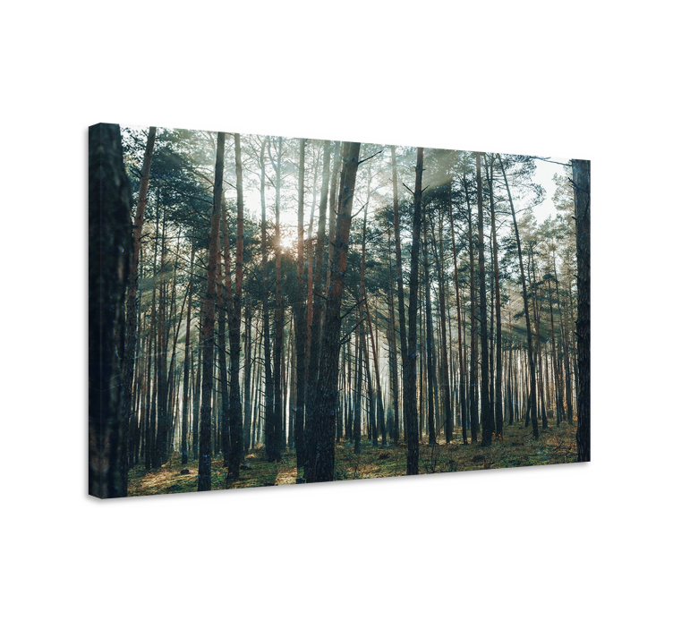 Canvas bomen majestueuze bos glans - TenStickers