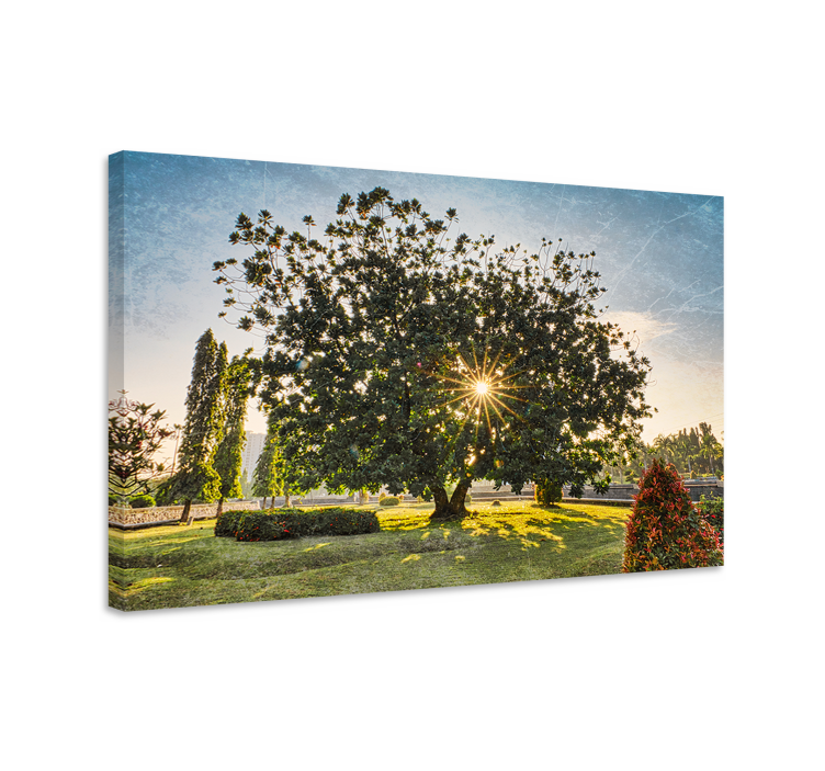 Canvas bomen majestueuze boom silhouet - TenStickers
