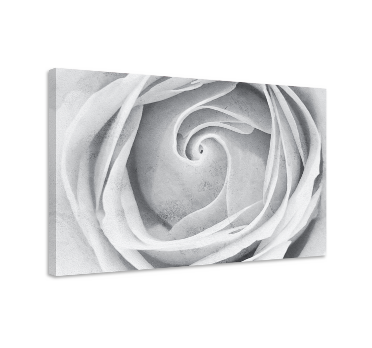 Canvas schilderij bloemen en planten elegante rozen spiraal - TenStickers