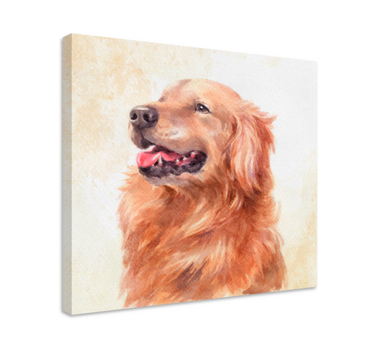 Canvas schilderij hond golden retriever illustratie - TenStickers