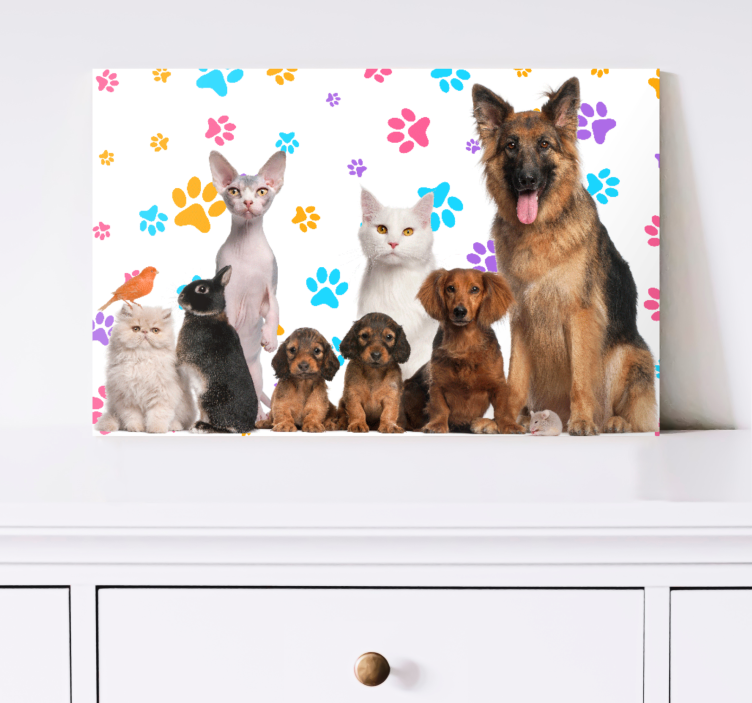 Canvas schilderij andere dieren Honden en katten - TenStickers