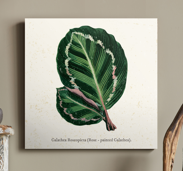 Calathea blad illustratie Canvas schilderij plant - TenStickers