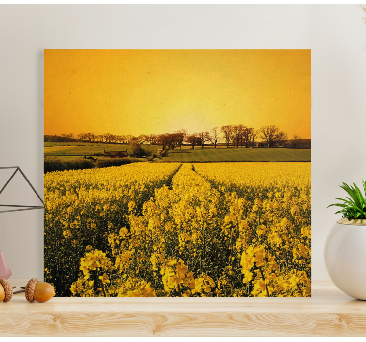 Canvas schilderijen bloemen Gele bloemen veld - TenStickers