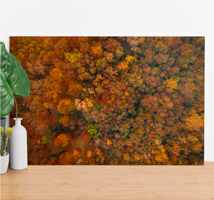 Canvas bomen herfstbosbladeren - TenStickers