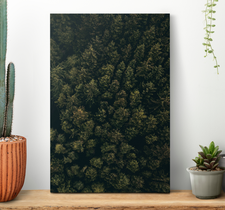 Canvas bomen weelderige boskruin - TenStickers