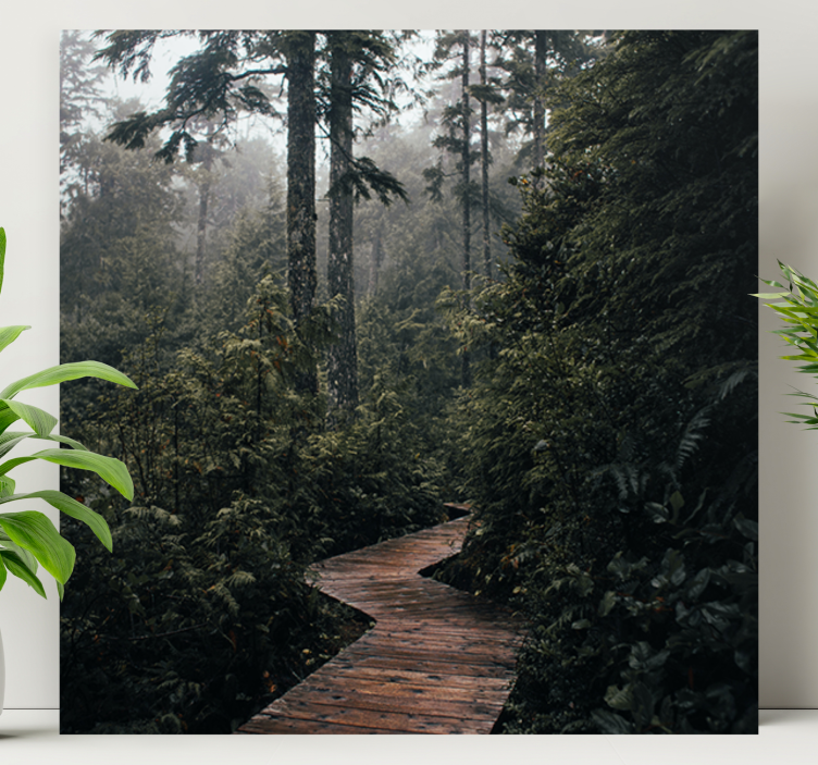 Canvas landschap rustig bospad - TenStickers