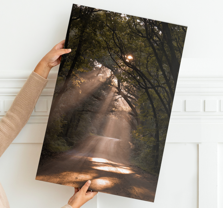 Canvas landschap zonneschijn bospad - TenStickers
