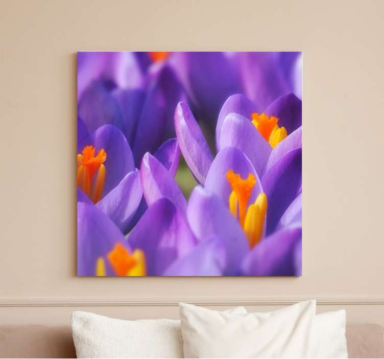 Canvas schilderij bloemen en planten kleurige crocus bloemen - TenStickers