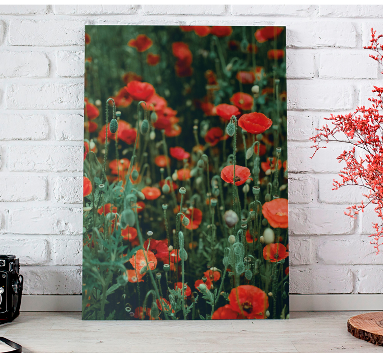 Canvas schilderij bloemen en planten rode wilde bloemen veld - TenStickers