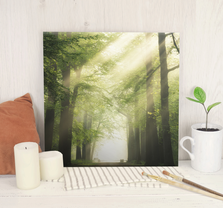 Mistig bospad Canvas bomen - TenStickers