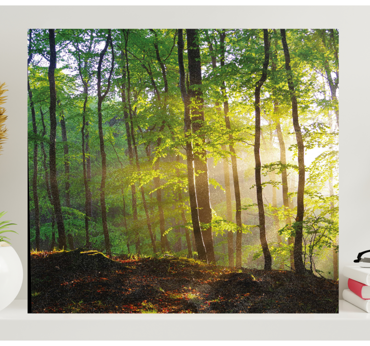Zonnig boslandschap Canvas bomen - TenStickers