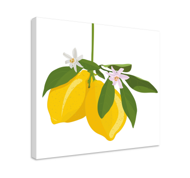 Canvas schilderij stilleven en fruit Citroenboom - TenStickers