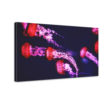 Andere dieren schilderij op canvas Kwallen ontwerp - TenStickers