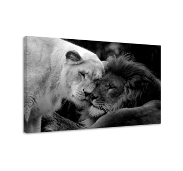 Andere dieren schilderij op canvas Zwart-wit leeuwenpaar - TenStickers