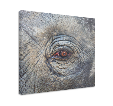 Canvas schilderij olifant oogdetail van de olifant - TenStickers