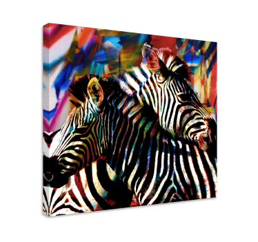 Andere dieren schilderij op canvas Veelkleurige paar weken - TenStickers
