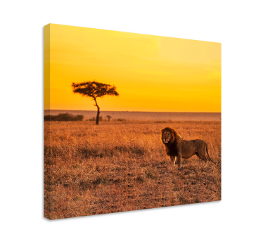 Andere dieren schilderij op canvas Wilde savanneboom in de avond - TenStickers