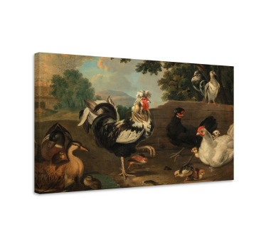 Canvas schilderij vogels boerderijhanen bijeen - TenStickers