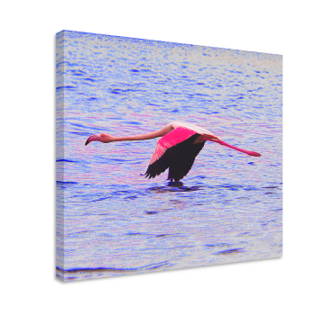 Canvas schilderij vis flamingo in vlucht - TenStickers