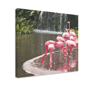Canvas schilderij vogels flamingo's bij het zwembad - TenStickers