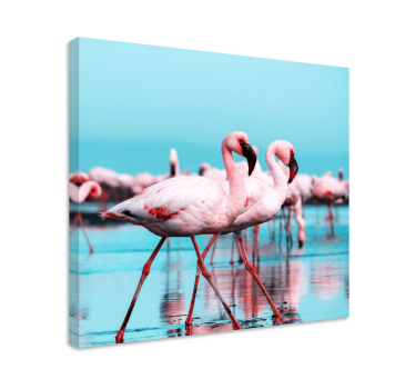 Canvas schilderij vogels majestueuze roze flamingo's - TenStickers