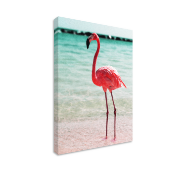 Canvas schilderij vogels elegante flamingo houding - TenStickers
