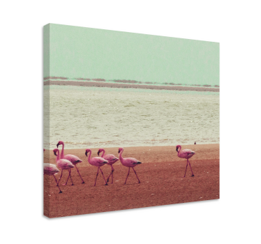 Canvas schilderij hond flamingo's bij water - TenStickers