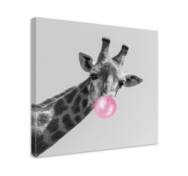 Canvas schilderij dieren giraffe met bellen - TenStickers