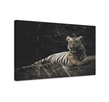 Canvas schilderij dieren majestueuze tiger rustend - TenStickers