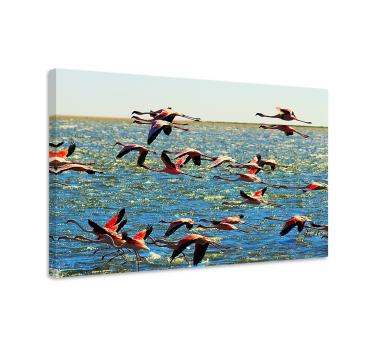 Canvas schilderij vogels flamingo's in de lucht - TenStickers
