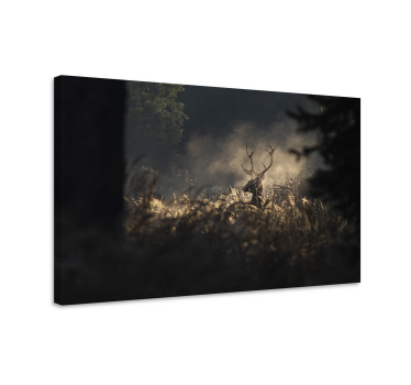 Canvas schilderij herten regal stag omlijning - TenStickers