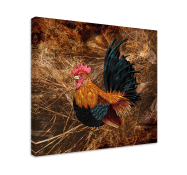 Canvas schilderij vogels kleurrijke haan - TenStickers