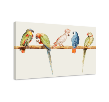Canvas schilderij vogels kleurrijke papegaaien collectie - TenStickers