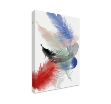 Canvas schilderij kleurrijke veer display - TenStickers
