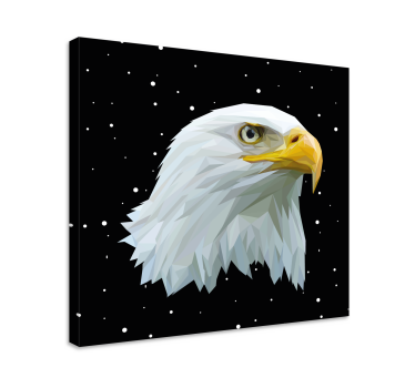 Canvas schilderij vogels adelaarsportret - TenStickers